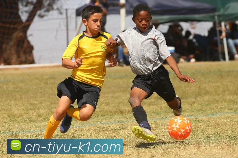 K1体育服务体系